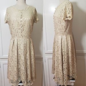Lace illusion Dress